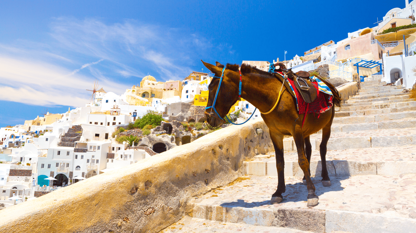 Spend the day exploring colourful Santorini in the Greek Islands
