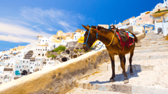 Spend the day exploring colourful Santorini in the Greek Islands