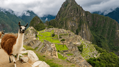 Meet the locals in Machu Picchu, Peru