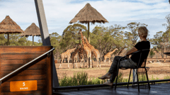View the animals from your private viewing deck