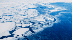 You'll see scattered ice followed by dozens of icebergs and ice floes as you fly over the region