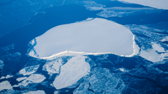 You'll see lots of icebergs and ice floes