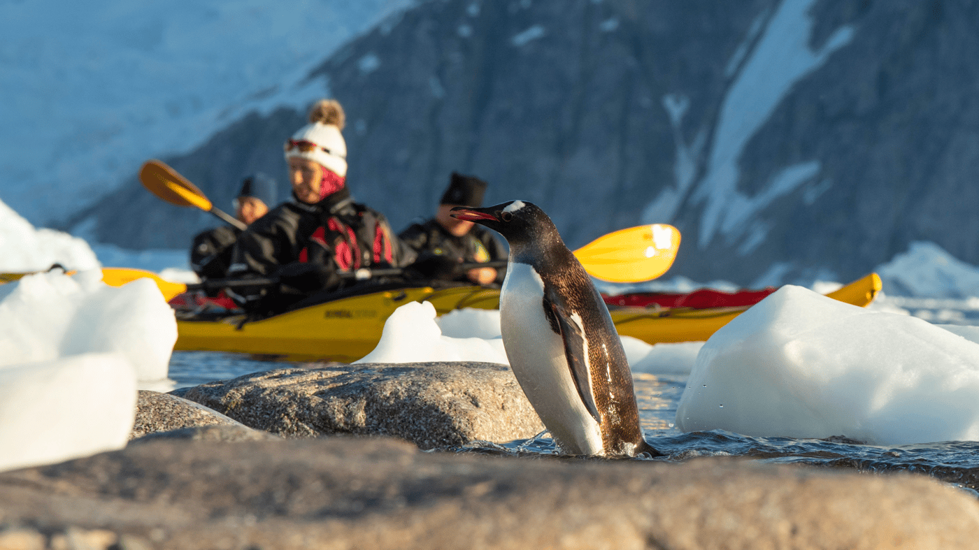 Get up close to the locals