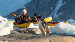 Get up close to the locals