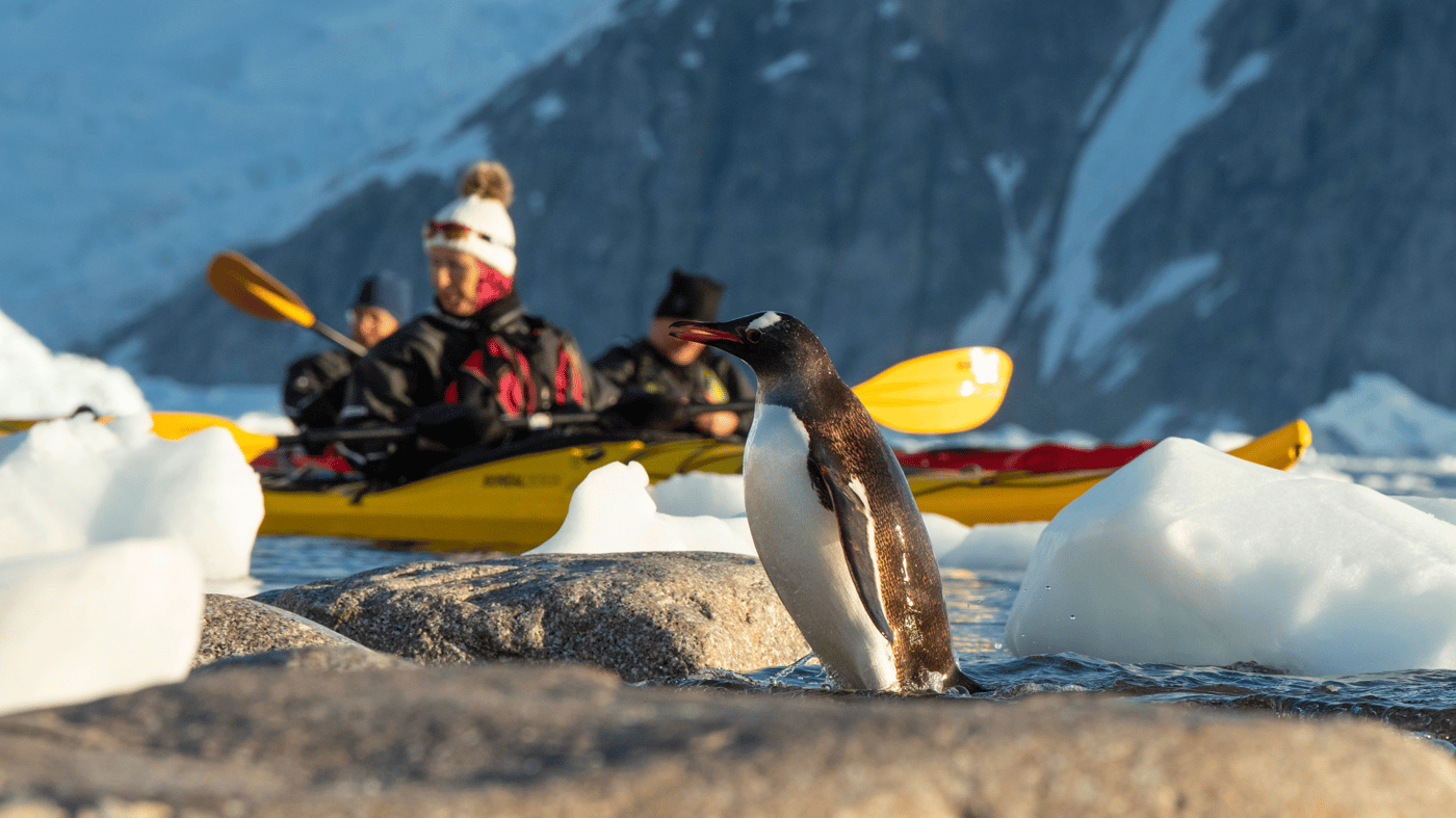 Kayaking helps you get up close to the locals