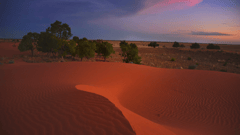 You'll drive out to Windorah’s red sandhills for a spectacular sunset