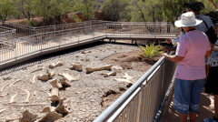 Dinosaur fossils at the Age of Dinosaurs