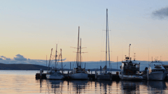 Hobart harbour