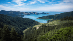 Picton, New Zealand