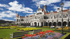 You'll have free time in Dunedin to explore the city