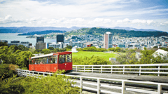Enjoy an extensive city tour of Wellington, which showcases the city's history and culture