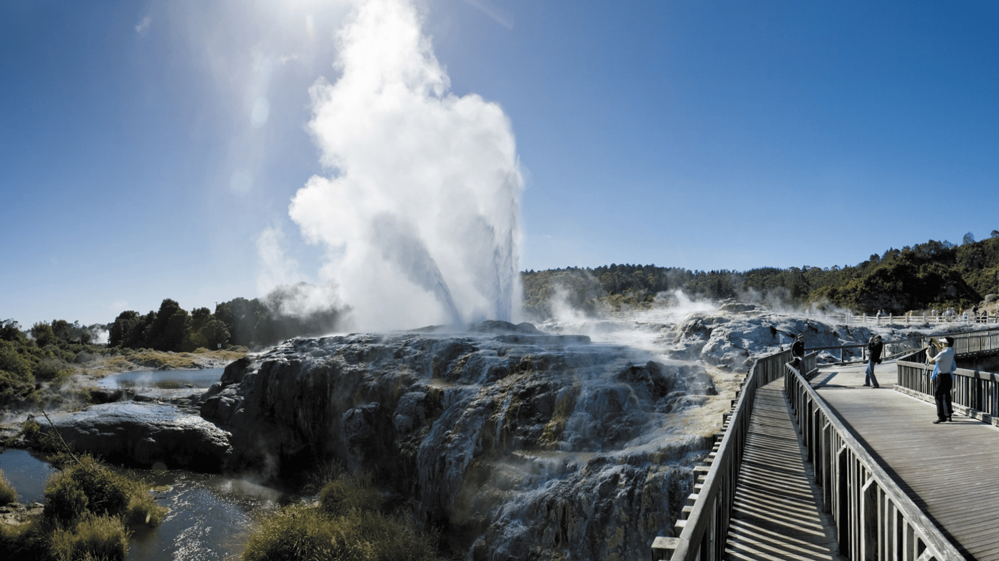 Visit Te Puia to see the boiling mud pools and awesome geysers that Rotorua is famous for