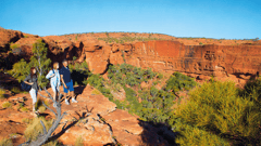 The 6-kilometre walk around the rim of Kings Canyon will reward you with marvellous views of Watarrka National Park