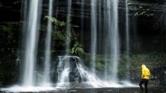 Visit Mt. Field National Park to see the magnificent tiered cascade of Russell Falls