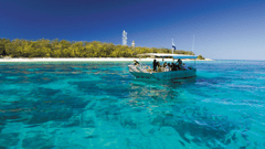 Spend approx 5 hours on Lady Elliot Island 