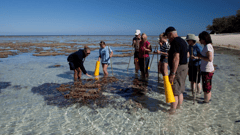 Activities include a guided reef walk
