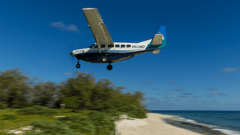 Fly from Coolangatta or Redcliffe airports to visit Lady Elliot Island for the day