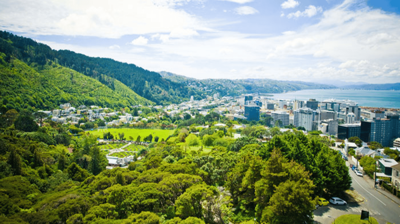 Your tour commences in Wellington