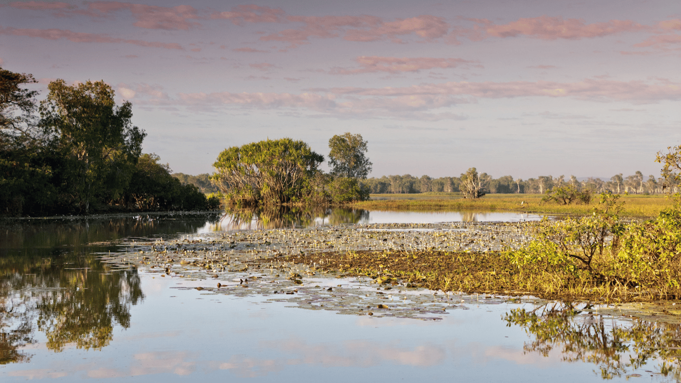 Cruise the billabongs of Kakadu National Park