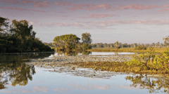 Cruise the billabongs of Kakadu National Park