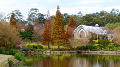 Hunter Valley Gardens