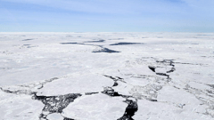 Ice Floe Antarctica