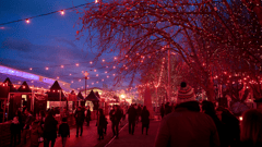 You'll see a whole new side to Hobart as it comes to life at night!
