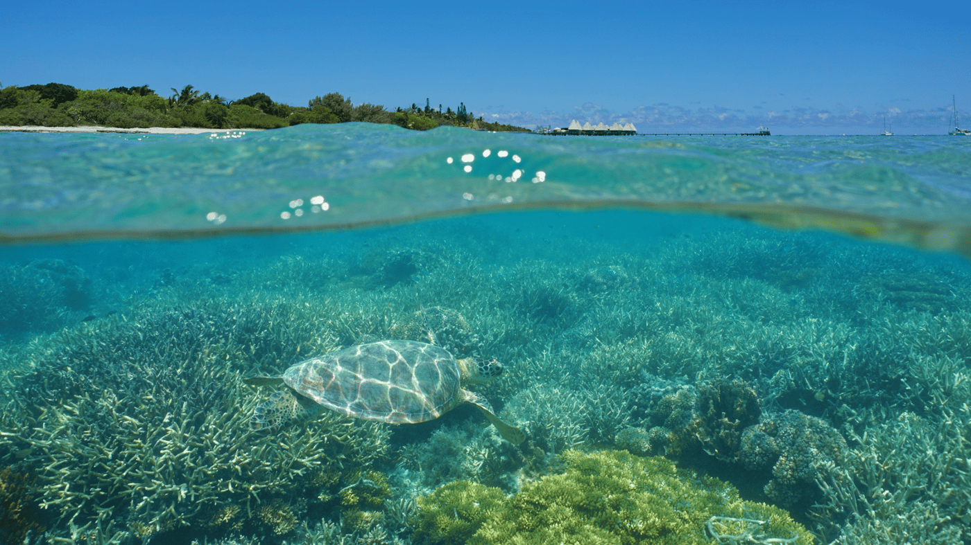 Maitre islet, Noumea, New Caledonia