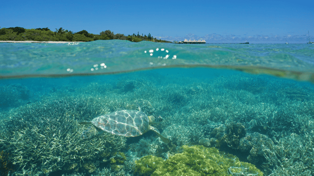 South Pacific Discovery: 9-Day Vanuatu & New Caledonia Cruise