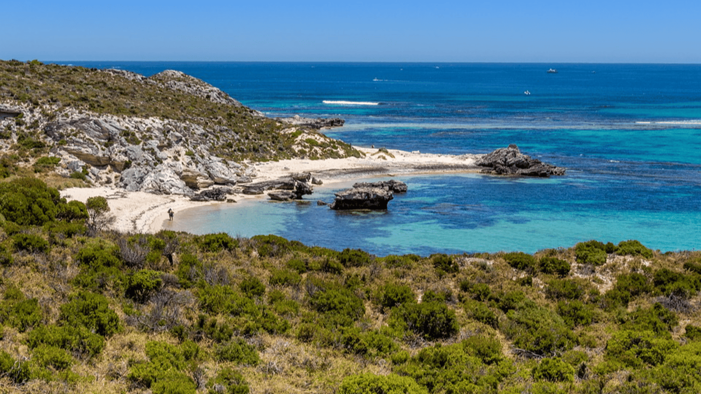 We highly recommend a trip to Rottnest Island during your stay