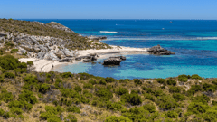 We highly recommend a trip to Rottnest Island during your stay