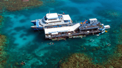 Sunlover Cruises, Moore Reef 