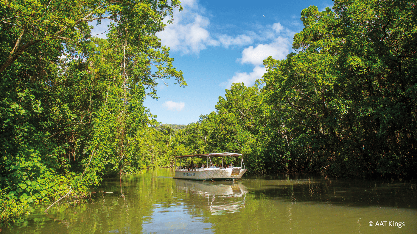 Daintree River Cruise 