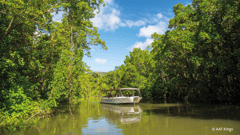 Daintree River Cruise 