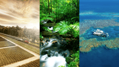 Spirit of QLD / Mossman Gorge / Moore Reef, Pontoon
