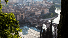 Florence 