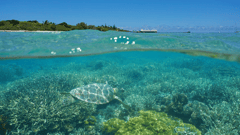 Noumea, New Caledonia
