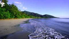 Tour the beautiful Daintree: where the rainforest meets the sea.