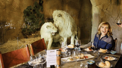 You'll be joined by some special guests during pre-dinner drinks and dinner, which may include white lions or hyenas!