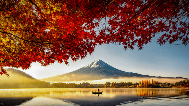 Circle Japan in Autumn's Splendour (Nov 2027)