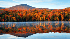 Vermont's Fall Colours 