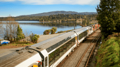 Board the TranzAlpine, renowned as one of the great train journeys of the world