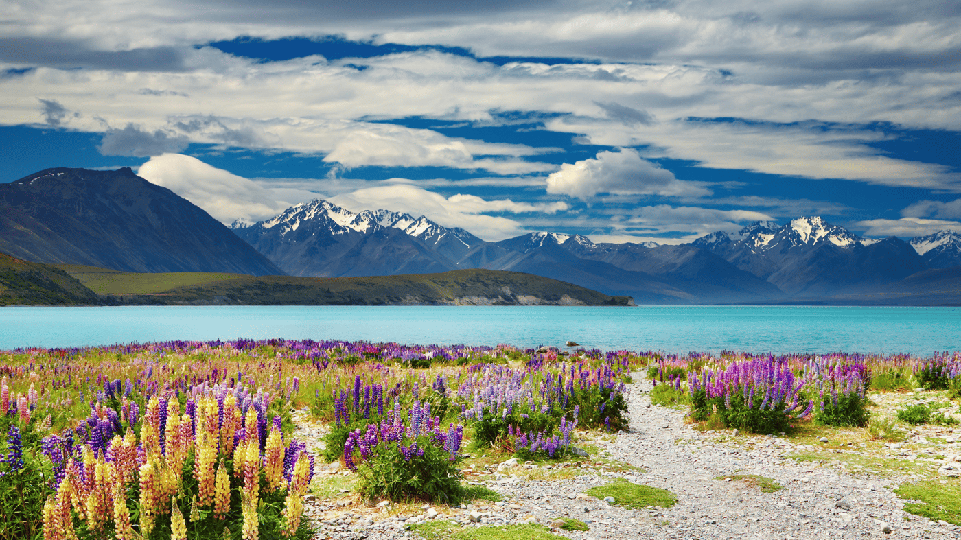 View the brilliant turquoise water at Lake Tekapo 