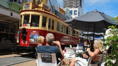 Your tour starts and finishes in Christchurch 