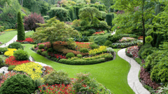 Explore the Butchart Gardens in Victoria 