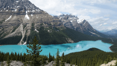Lake Jasper 