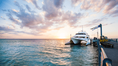 Tangalooma Island Resort 