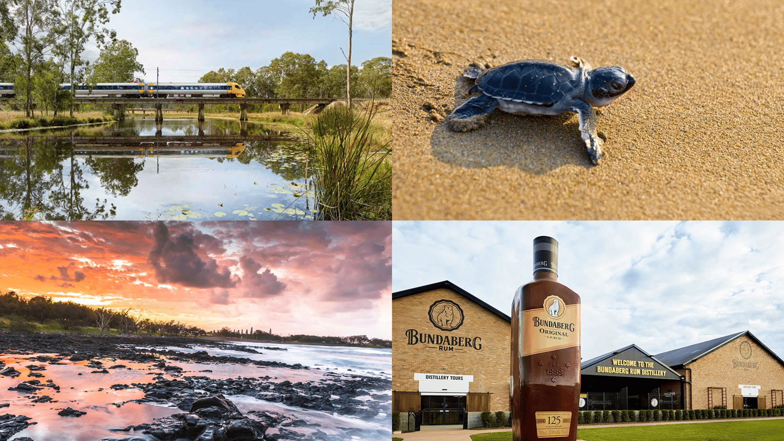 FINAL PLACES Tilt Train & Turtles Getaway (BrisbaneBundaberg Return