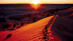 Head to the top of Big Red to see amazing views of the countryside surrounding Birdsville