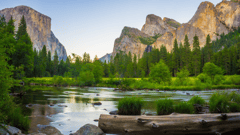 Yosemite National Park 